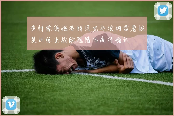 多特蒙德施洛特贝克与埃姆雷詹恢复训练出战欧冠情况尚待确认